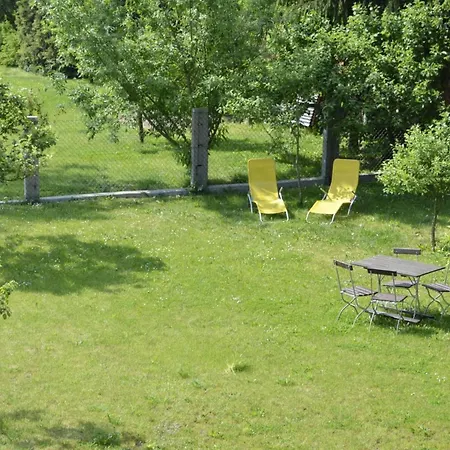 Kirsche - On The Fruit Tree