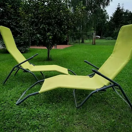 Kirsche - On The Fruit Tree *