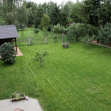 Kirsche - On The Fruit Tree * Zutzen