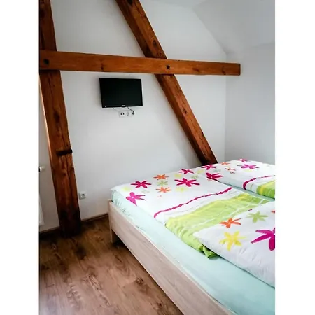 Kirsche - On The Fruit Tree