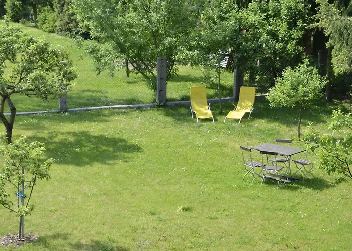 Kirsche - On The Fruit Tree