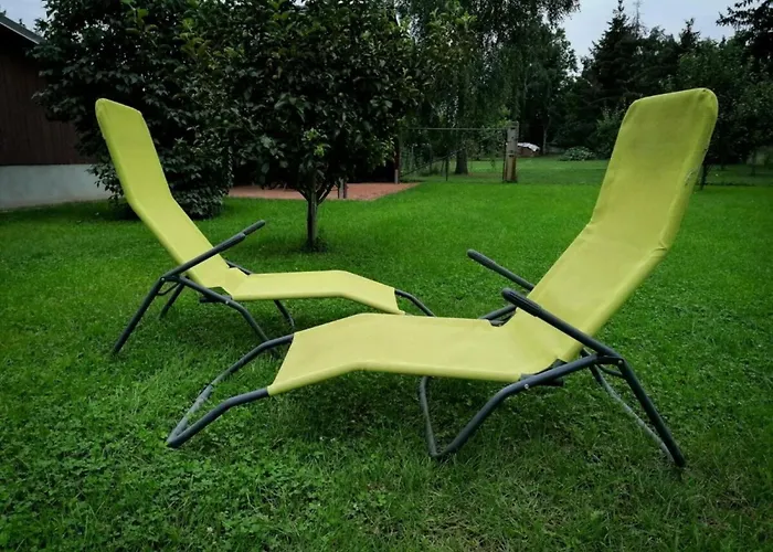 Kirsche - On The Fruit Tree *