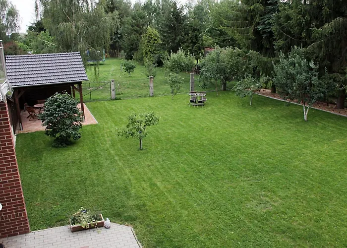 Kirsche - On The Fruit Tree * Zutzen