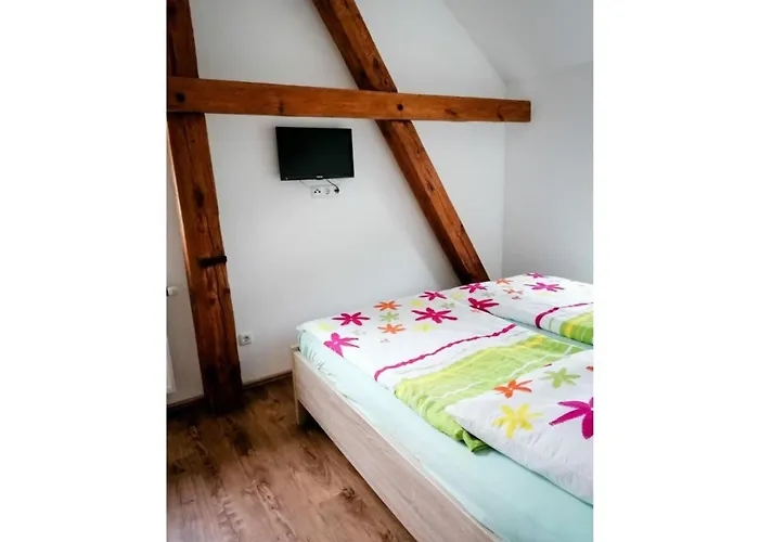 Kirsche - On The Fruit Tree